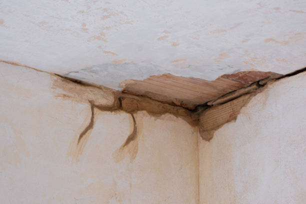 Best Water damage contractors near me  in Spinnerstown, PA