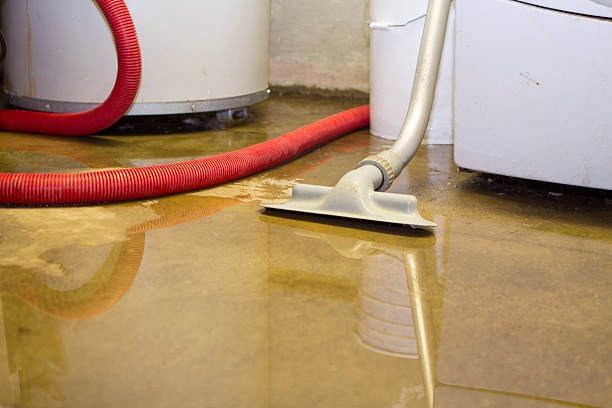 Best Flooded house restoration  in Spinnerstown, PA