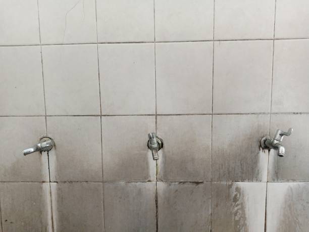 Best Water damage restoration experts  in Spinnerstown, PA