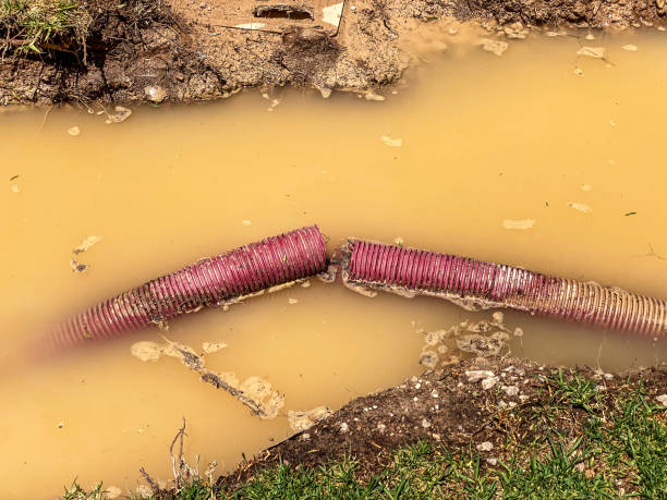 Best 24-hour water damage restoration  in Spinnerstown, PA
