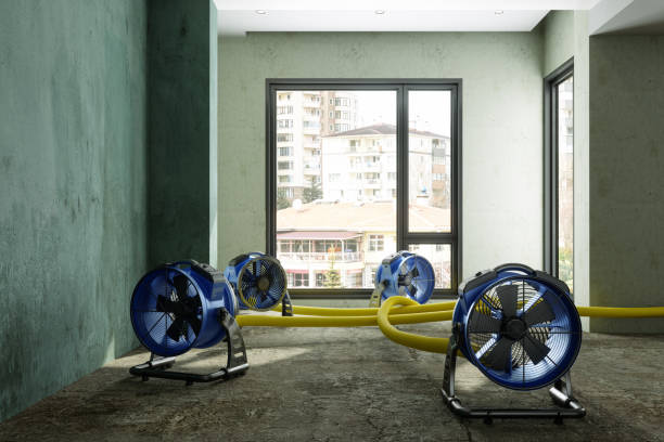 Best Sewage cleanup and water damage restoration  in Spinnerstown, PA