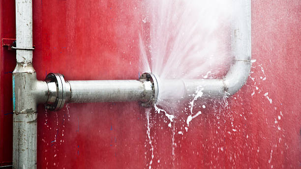 Best Water damage cleanup near me  in Spinnerstown, PA